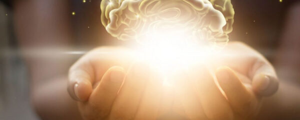 Visualisation